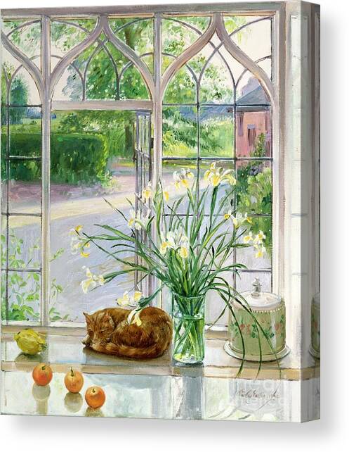 Irises and Sleeping Cat Canvas Art Print by Timothy Easton
