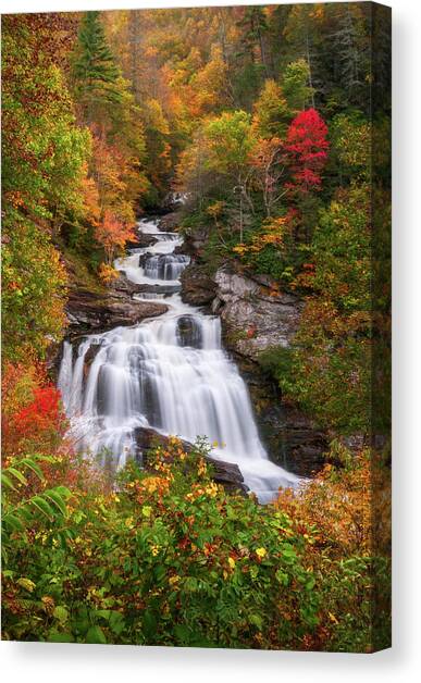 Cullasaja Falls - WNC Waterfall in Autumn Canvas Art Print by Dave Allen