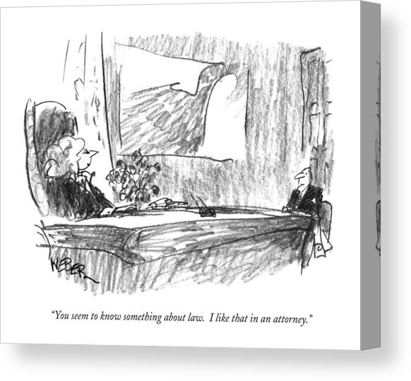You Seem To Know Something About Law.  I Like Canvas Art Print by Robert Weber