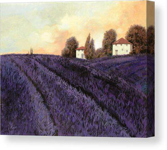 Tutta lavanda Canvas Art Print by Guido Borelli