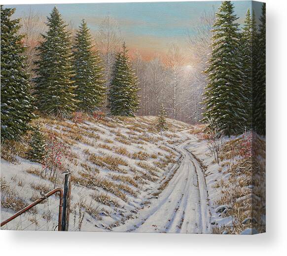 Down The Lane Canvas Art Print by Jake Vandenbrink