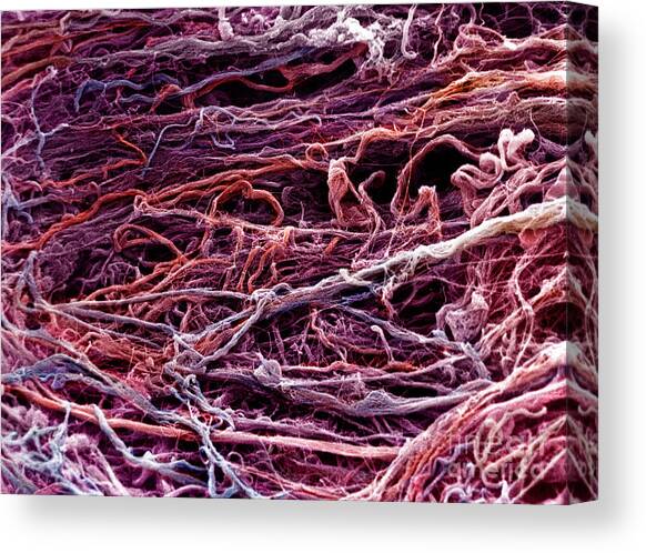 Collagen #2 Canvas Art Print by David M. Phillips