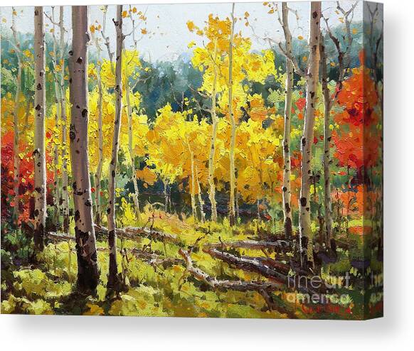 Autumn Aspen Forest Canvas Print