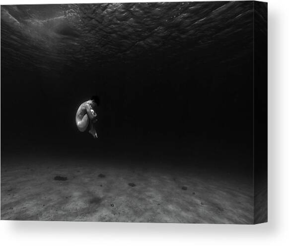 Embryo Canvas Art Print by Sebastian-alexander Stamatis