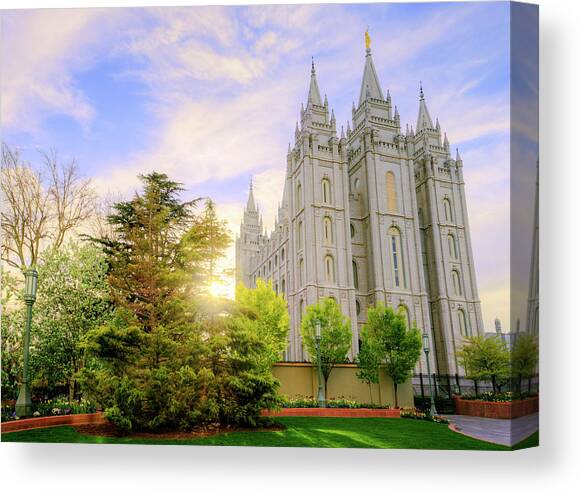 Spring Rest Canvas Art Print by Chad Dutson