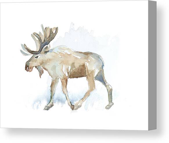 Watercolor Moose Canvas Art Print by Lanie Loreth