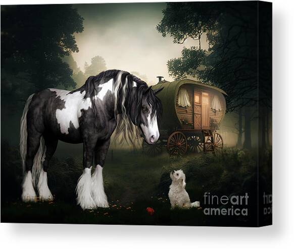 Want to Play Canvas Art Print by Shanina Conway
