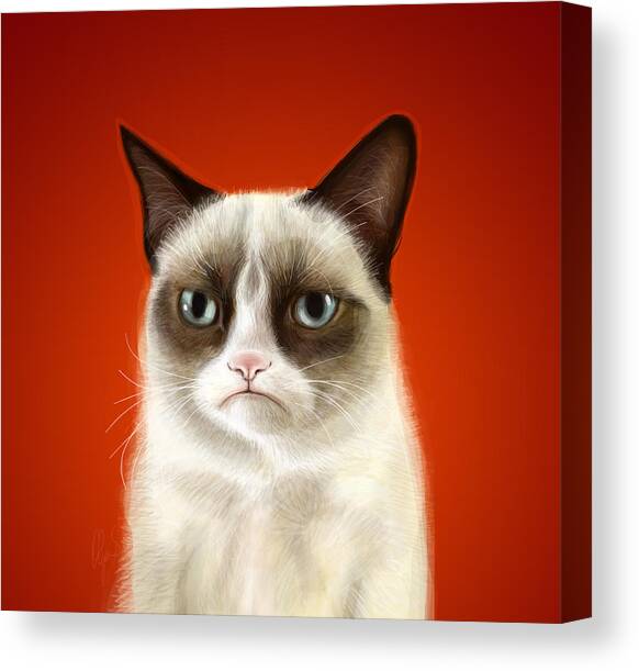Grumpy Cat Canvas Art Print by Olga Shvartsur