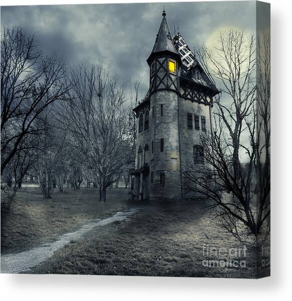 haunted mansion starry night