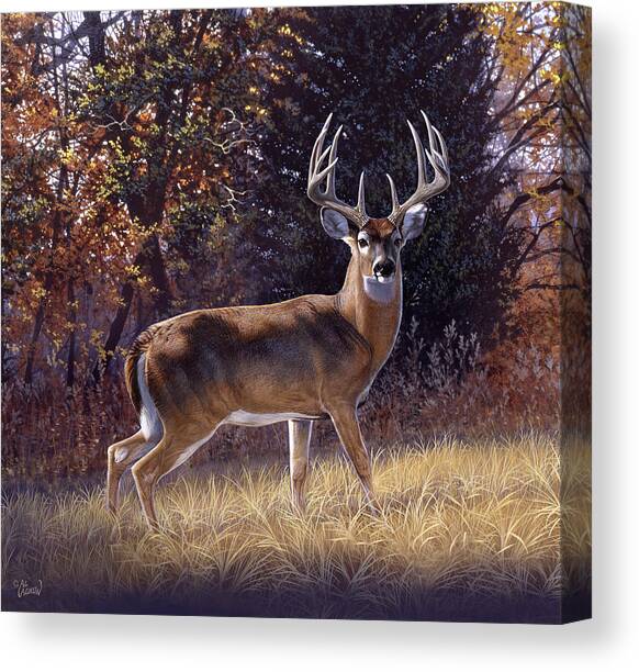 In The Open Canvas Art Print by Al Agnew