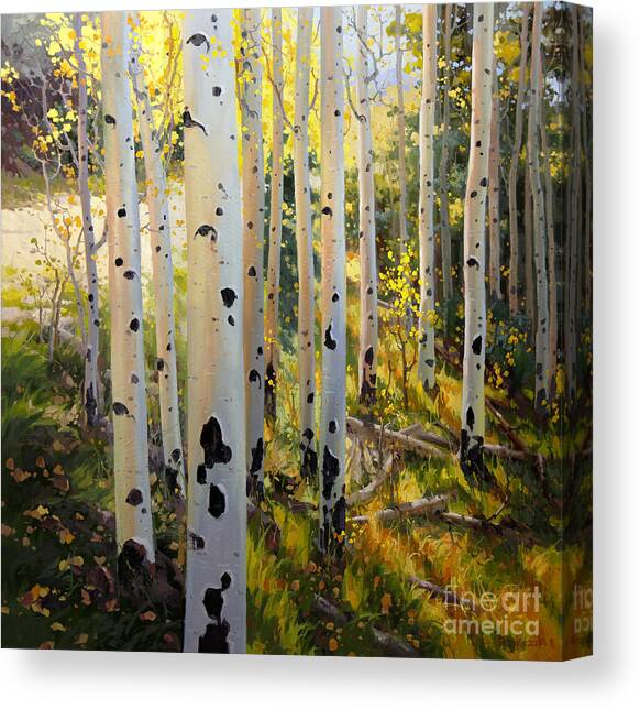 Sunlit Aspen Forest Canvas Print