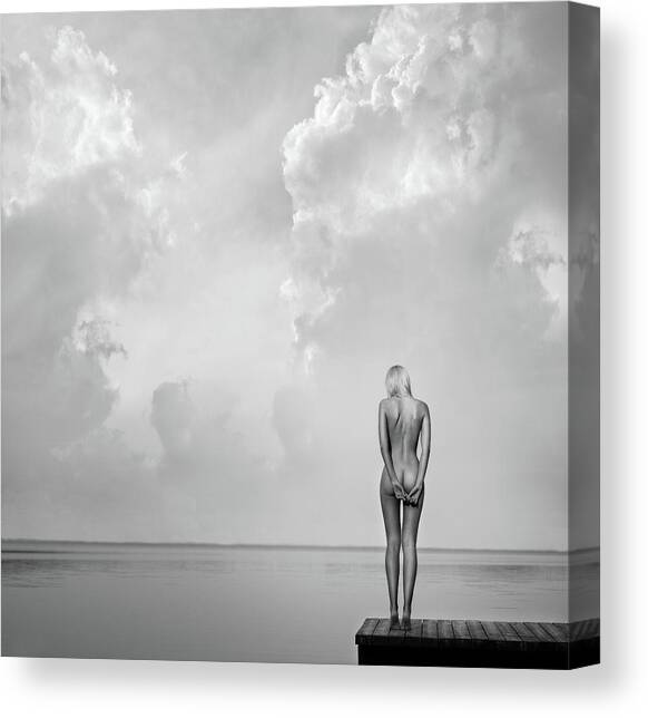 Echospace Canvas Art Print by Paulius Stefanovicius