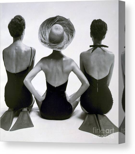 Fashion Models In Swim Suits, 1950 Canvas Art Print by Science Source