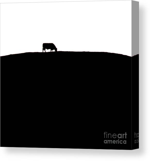 Cow Hill  - Triptych   part 3 of 3 Canvas Art Print by Sean Davey
