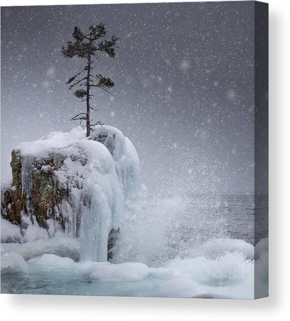 The Tee Harbour Rock Canvas Art Print by Jakub Sisak