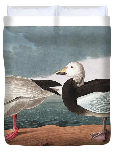 Snow Goose Duvet Covers Fine Art America