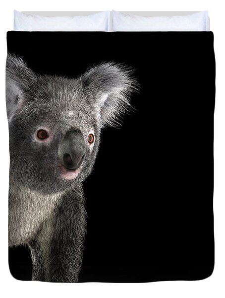 Koala Bears Duvet Covers for Sale - Pixels Merch