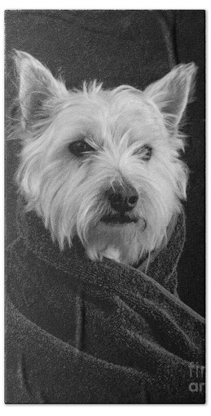Nonbrand West Highland Terrier Dog Westie Bath Towel Absorbent Hand Towels Multipurpose for Bathroom Hotel Gym and Spa 27.5x15.7