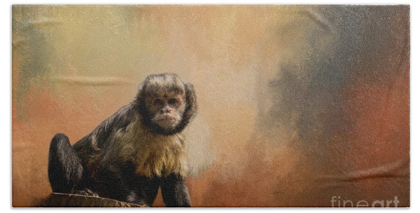 Capuchin Monkey EMBROIDERED SET 2 BATHROOM HAND TOWELS NEW 