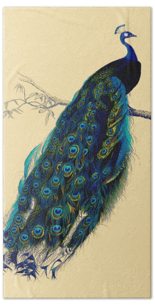 Peacock Feather Painting by Laura Zollar - Fine Art America