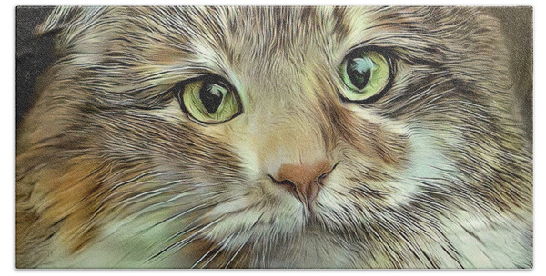 Kitty Kats Beach Products for Sale - Fine Art America