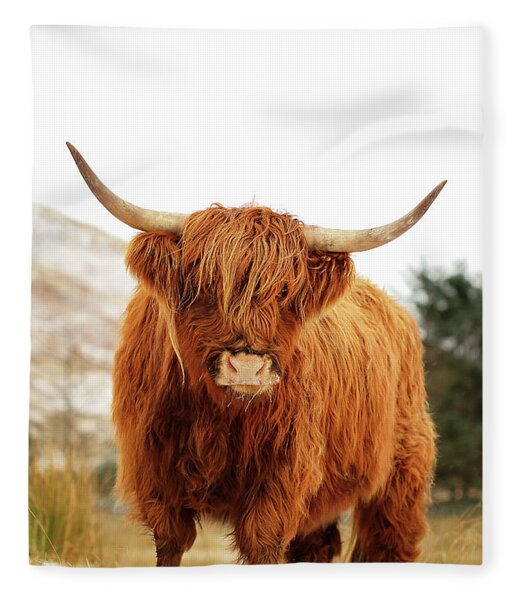 Highland Cow Fleece Blankets | Pixels