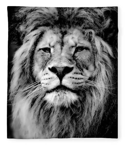The Lioness Fleece Blanket by Maggy Pease - Pixels