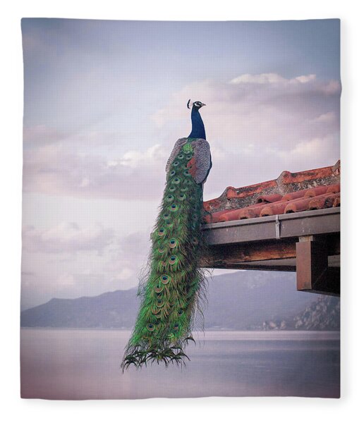 Peacock With Open Tail Feathers Fleece Blanket by Jody Trappe Photography 