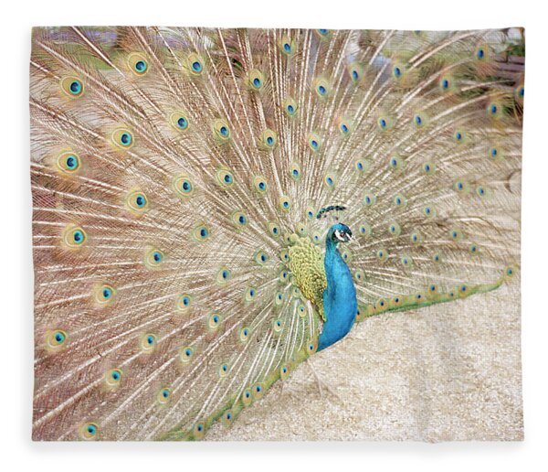 Peacock Feather Fleece Blankets for Sale 