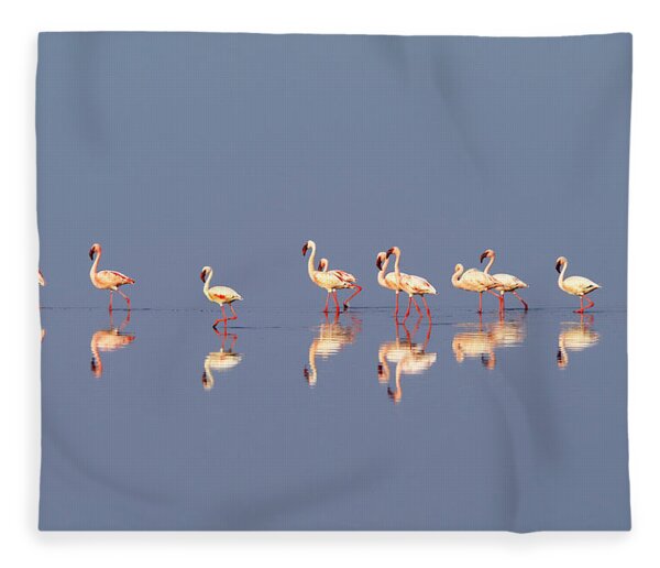 Flamingos On Blue Lake Natron Fleece Blanket by Peter Stanley
