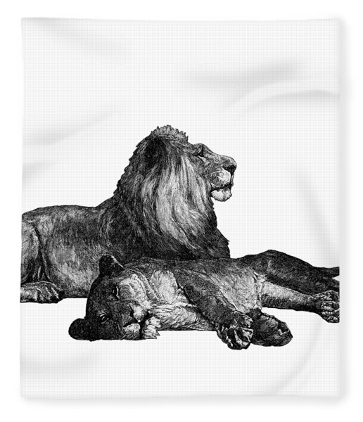 The Lioness Fleece Blanket by Maggy Pease - Pixels