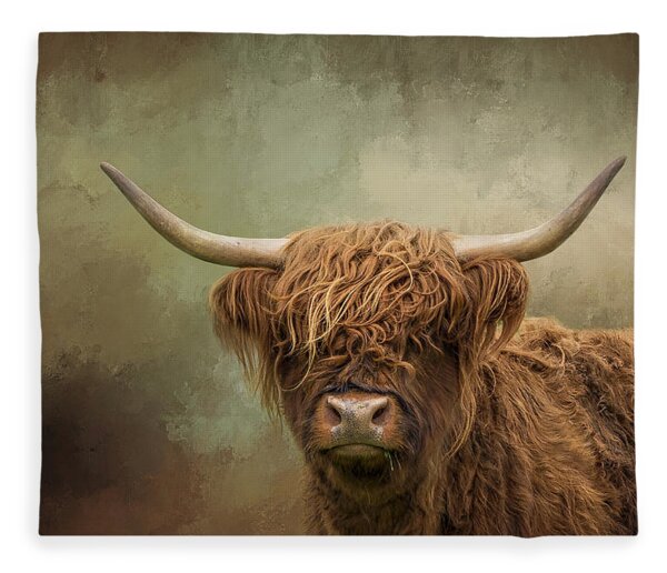 Scottish Highland Cattle Fleece Blankets | Pixels