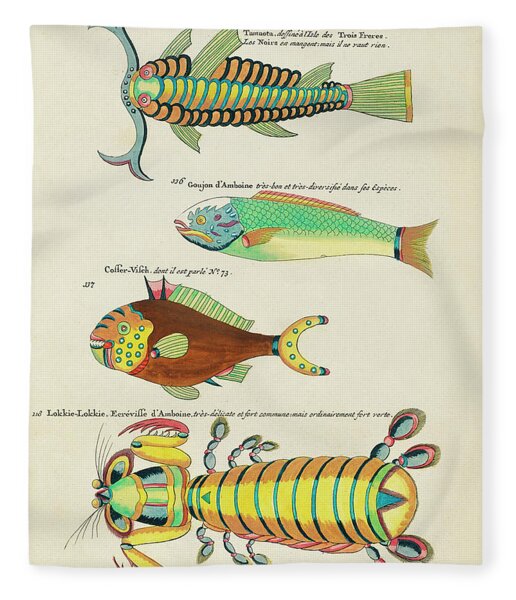 Vintage, Whimsical Fish and Marine Life Illustration by Louis Renard -  Mountain Crayfish, Sea Eel Tote Bag by Louis Renard - Pixels