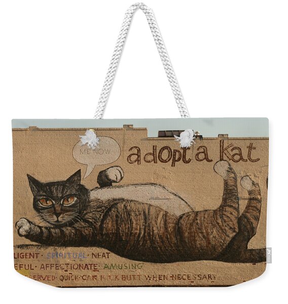 Kitty Kats Beach Products for Sale - Fine Art America