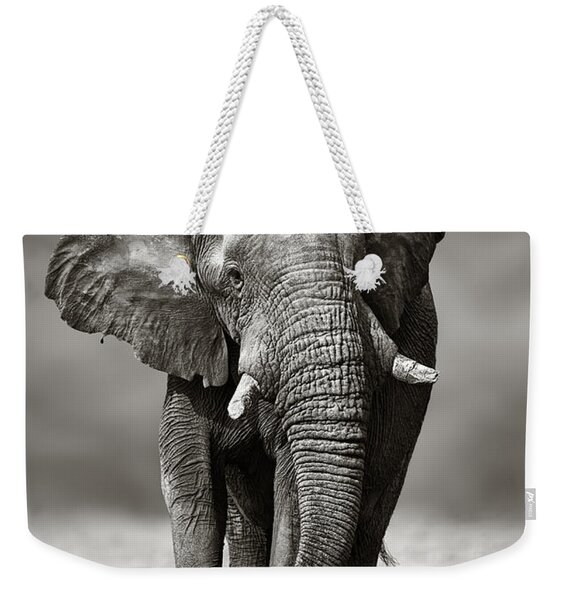 Elephant Approach From The Front Weekender Tote Bag