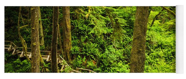 Temperate Rainforest Yoga Mats for Sale - Pixels