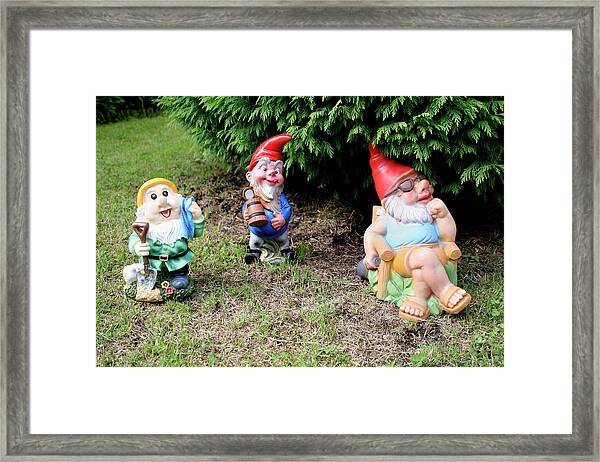 Garden Gnome Framed Art Prints - Fine Art America