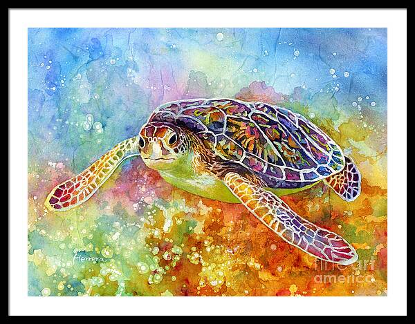 Turtle Shell Framed Art Prints for Sale - Fine Art America