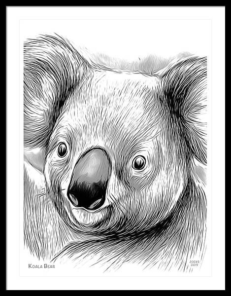 Koala Framed Art Prints for Sale - Fine Art America