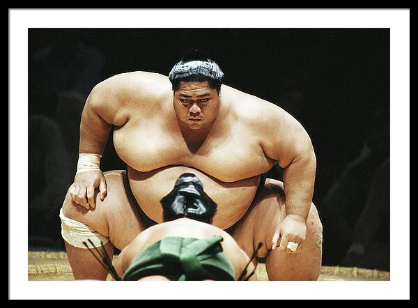 Rose filter Køre ud Sumo Wrestling Framed Art Prints