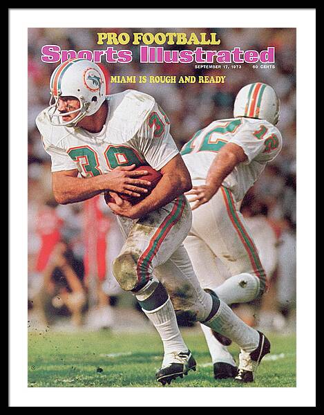 Bob Griese Miami Dolphins Framed 15 x 17 Hall of Fame Career Profile