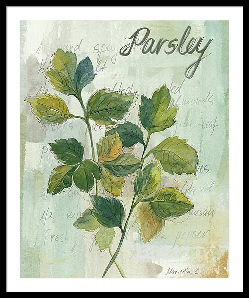 Bundle of fresh parsley tied with dark brown string by Joanna Szmerdt
