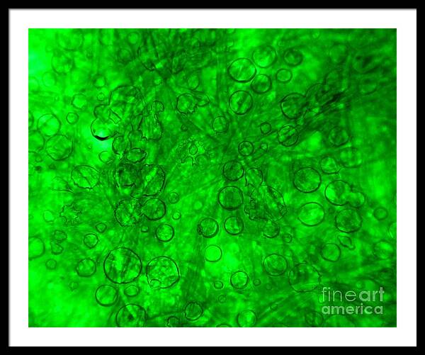 Post-it note adhesive, SEM available as Framed Prints, Photos, Wall Art and  Photo Gifts