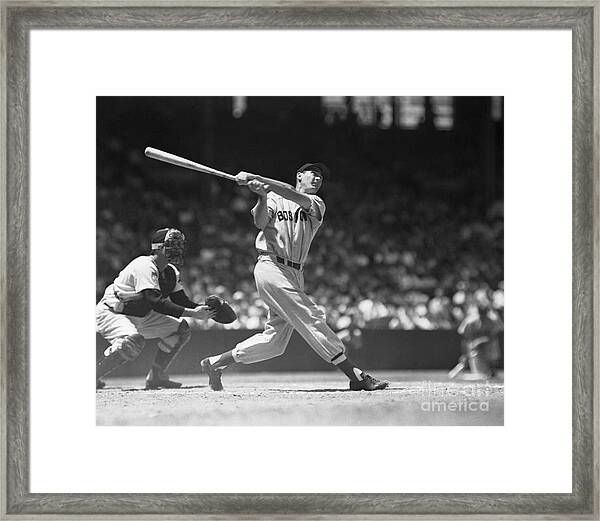 AWESOME TED WILLIAMS RED SOX LEGEND AT BAT CLASSIC 8x10 PHOTO 