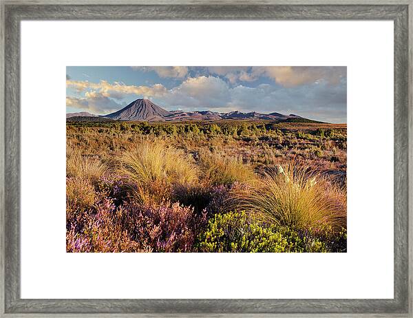 North Island Art Print A4 A3 A2 A1 Scan W039 Tongariro National Park 