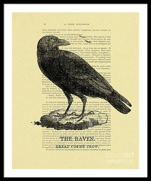 Common Crow Framed Art Prints for Sale - Fine Art America