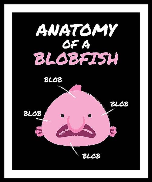 Meet blobfish, a fish with human like face : r/pics