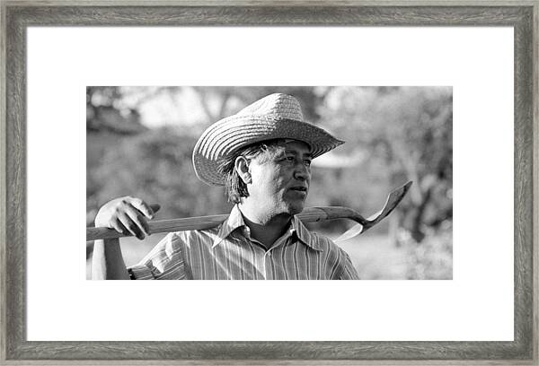 CESAR CHAVEZ LABOR ACTIVIST PORTRAIT 8x12 SILVER HALIDE PHOTO PRINT 