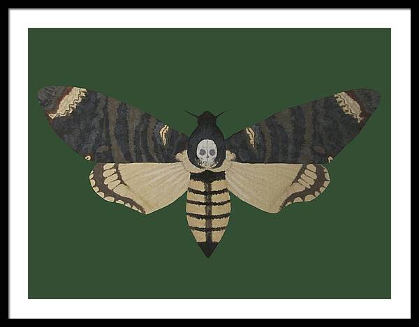 Death's-head hawk moth print by Velozee