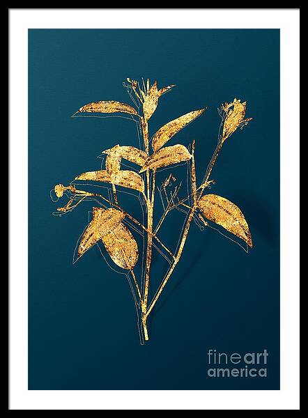 Leaf Maranta Albo Lineata 12X16 Inch Framed Art Print